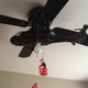 Illustration for article titled Every Ceiling Fan Should Be a Helicopter Ceiling Fan